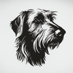 Townsville Wolfhounds